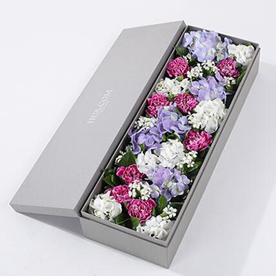 紫色白邊康乃馨8枝、白繡球1枝、藍(lán)紫色繡球1枝